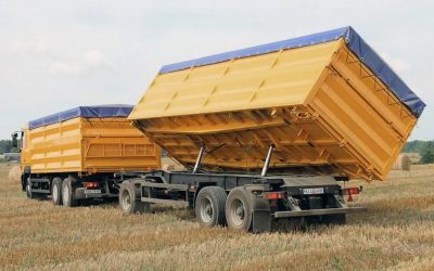 Услуги зерновозов для перевозки зерна - Магадан, цены, предложения специалистов