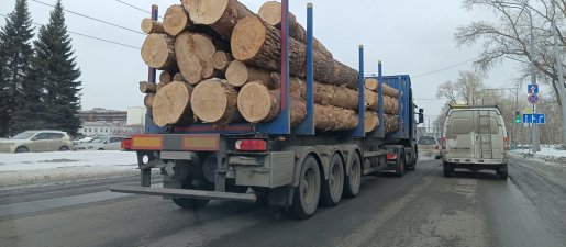 Поиск транспорта для перевозки леса, бревен и кругляка стоимость услуг и где заказать - Магадан